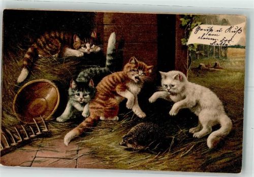 1907 Igel