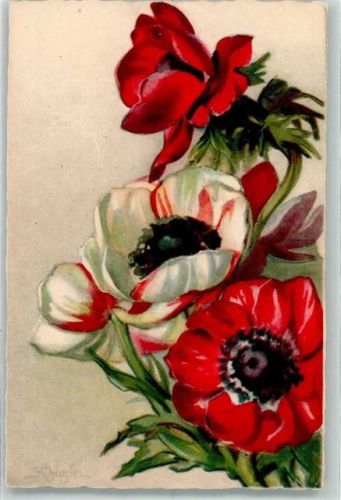 Nr. 204 Blumen Verlag Ballerini & Fratini Chiostri, C. & S. Künstlerkarte