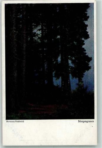 Ein dunkler Tannenwald im Morgengrauen Verlag Hermann A. Wiechmann No. 549
