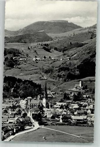 Schönau mit Kirche Mariä Himmelfahrt und Bergkirche