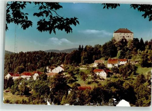 Saldenburg mit der Burg Foto Original aus Archiv eines Ansichtskartenverlags Ort handschriftlich Gebrauchsspuren