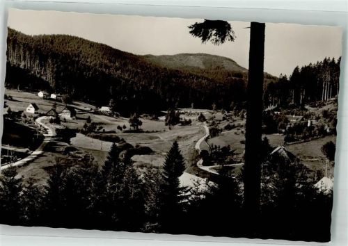 Hundsbach Gasthaus Pension zur Forelle