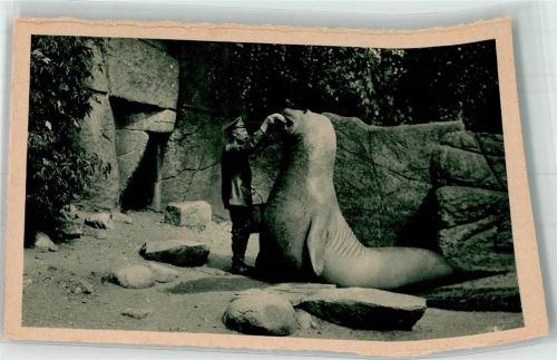 Stellingen Der riesige See-Elefant Goliath