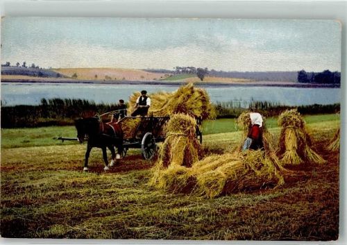 Ernte Photochromie Serie 154 Nr. 2834 Tiergespann