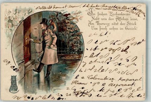 1900 Affe auf der Schulter und Katze am Boden Allegorie Lithographie