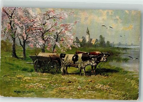 1910 Rinder sign. Müller jun. Verlag Erika Nr.3857 Möwen