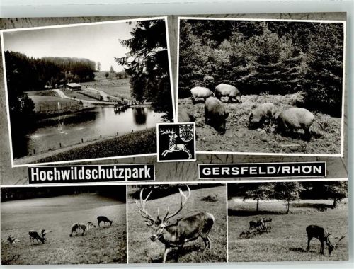 Gersfeld Hochwildschutzpark