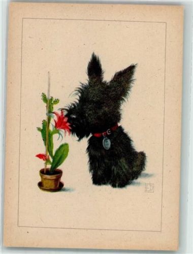 sign. ED Hund Jack Russell Terrier