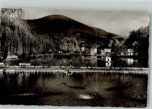 Annweiler Schwanenweiher