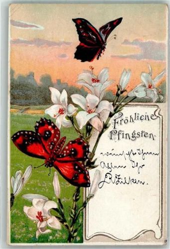 1905 Bunte Schmetterlinge weiße Blumen