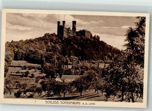 Schaumburg Blühende Bäume unterhalb der Burg
