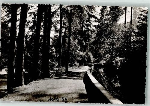 Altensteig Ein schattiger Waldweg