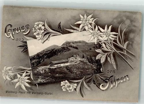 Tegernsee 1908 Wallberghaus und Gipfel Hüttenstempel