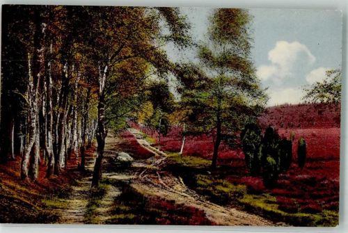 Wilsede Lüneburger Heide Steingrund