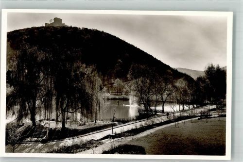 Annweiler Burg Trifels Schwanenweiher