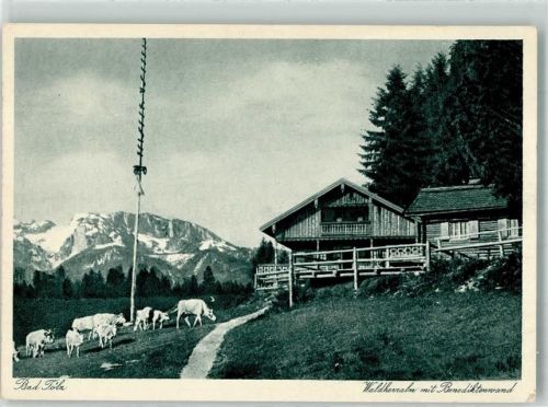 Bad Tölz Waldherralm mit Benediktenwand Kühe