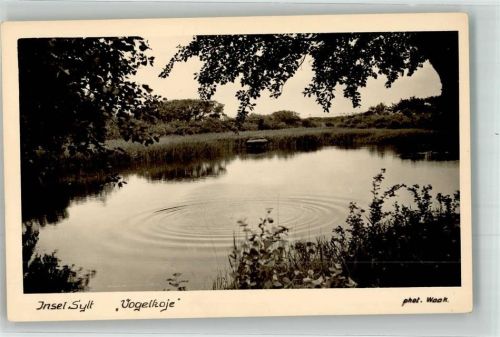 Vogelkoje Foto Waak