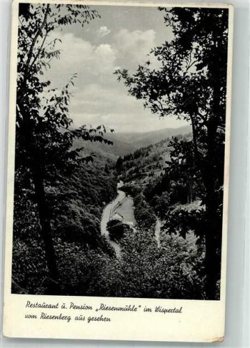 Bad Schwalbach Gasthaus Pension Riesenmühle Foto AK