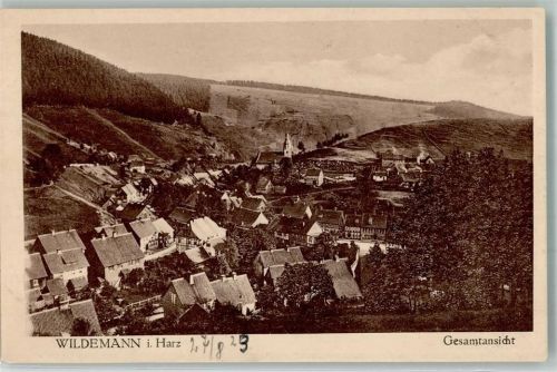 Wildemann 1923
