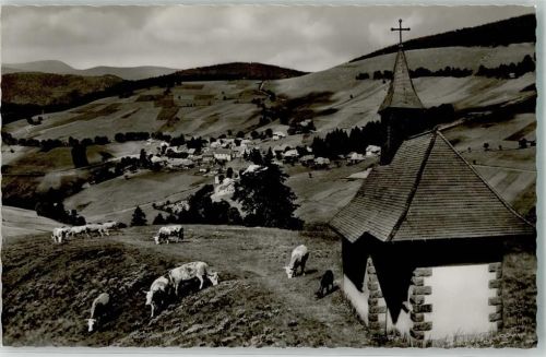 Todtnauberg Kriegergedächtnis- und Fatimakapelle Kühe