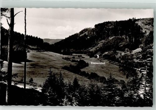 Bad Wildbad Gasthaus Pension Kleinenzhof