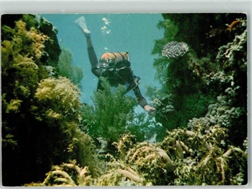 Eilat - Under Water Scenery im Roten Meer