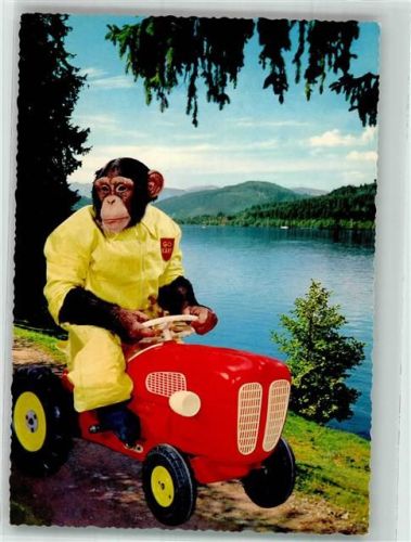 Affe Bobbycar