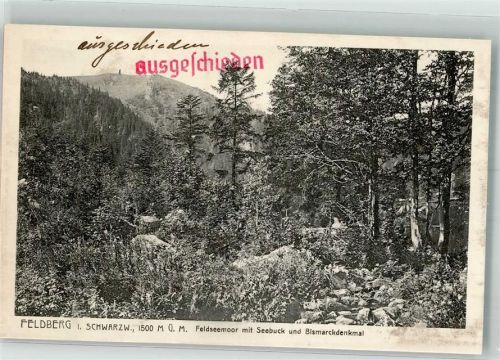 Feldberg Feldseemoor Seebuck Bismarckdenkmal