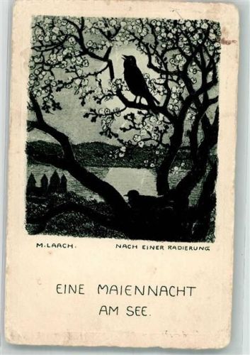 Maria Laach Eine Maiennacht am See