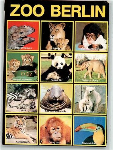 Berlin Mitte 1993 Collage Affe Eisbär Elefant Foto: Zoo Archiv