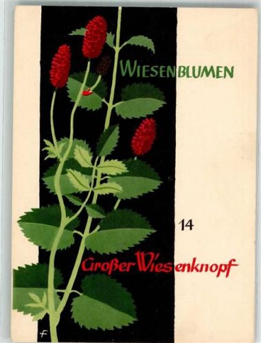 sign. Feuerstein E. Großer Wiesenknopf Jugendherbergsgroschen