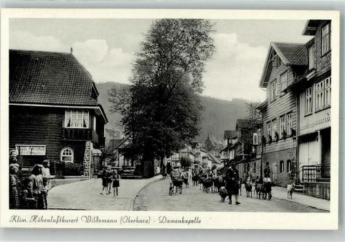 Wildemann Hotel Rathaus Damenkapelle Ziege Kühe
