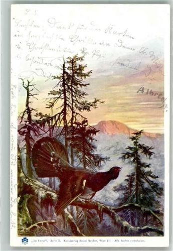 1900 Ein Auerhahn mit aufgerichtetem Schwanz Verlag Rafael Neuber Serie X