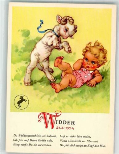 Widder Kind Schaf