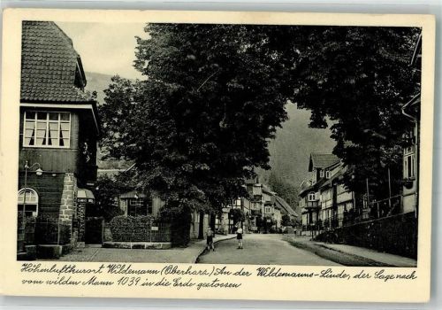 Wildemann Sagen Wildemann-Linde Hotel Rathaus