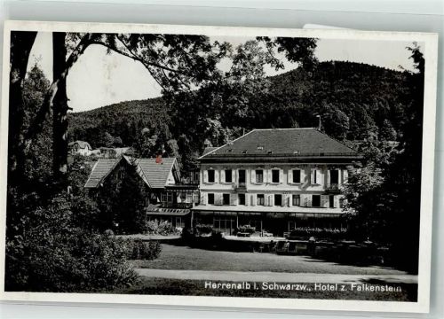 Bad Herrenalb Hotel zum Falkenstein