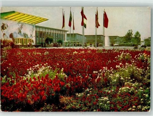Erfurt Blumenwiese und Hallen anläßlich der 1. Gartenbauausstellung der DDR Fotograf Walther