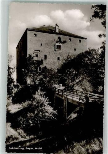 94163 W8391 Saldenburg 1965 Foto AK Burg