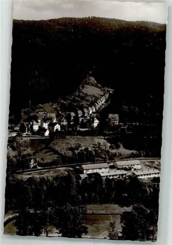Hornberg mit Neubausiedlung