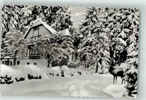 Bad Grund Winter Hotel Pension Schönhofsblick
