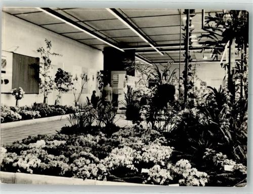Erfurt 1961 Ausstellung Gartenbau IGA 1961