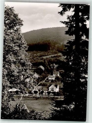 Bad Herrenalb Hotel Kühler Brunnen
