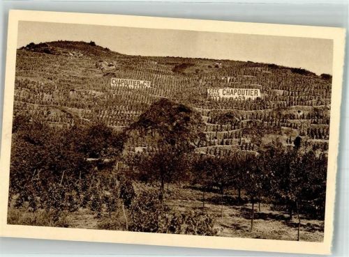 Rocheville Cote BlondeLa Grosse-Roche Cote Rotie Chapoutier u. Cie