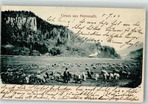 Bad Herrenalb 1904 Beruf Schäfer Schafe Falkensteinfelsen