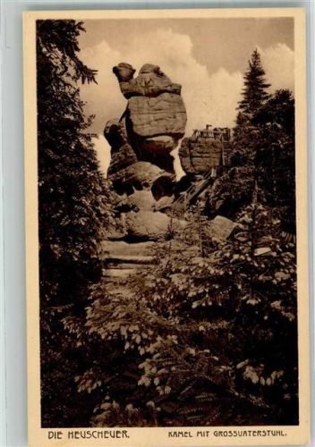 Bad Reinerz Duszniki Zdroj Foto AK Heuscheuer Kamel mit Großvaterstuhl
