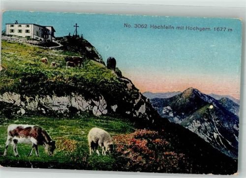Ruhpolding 1923 Hochfelln m. Hochgern Kühe