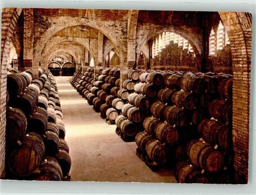 Sant Sadurni d´Anoia Carvas Codorniu Ein Weinkeller Wein