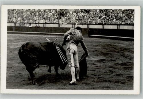 Torero Arena banderillas