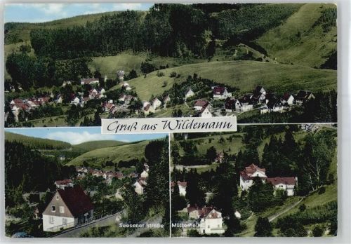 38709 W3391 Wildemann - Teilansichten