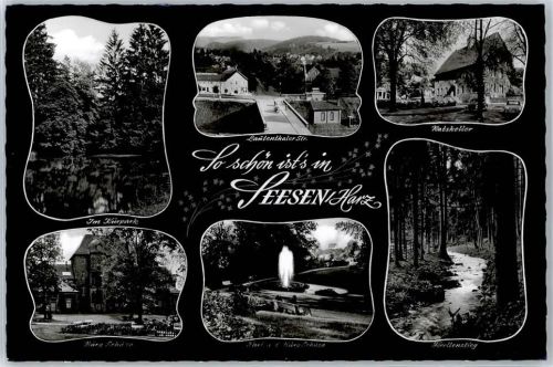 38723 W3370 Seesen , Harz - Kurpark, Ratskeller, Forellenstieg, Lautenthaler Straße, Burg Sehusa